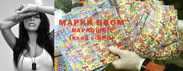 шишки Верея
