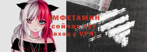 шишки Верея