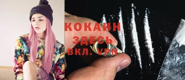 дмт Арсеньев