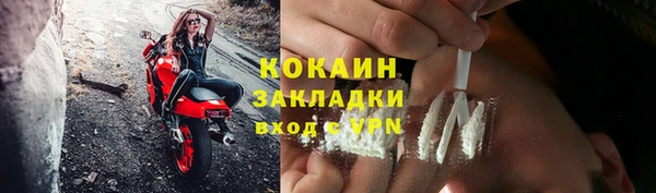 крисы Дмитровск