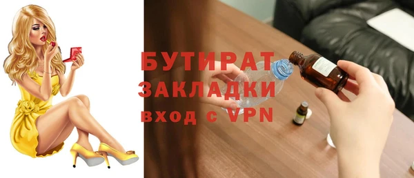 шишки Верея