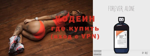 шишки Верея