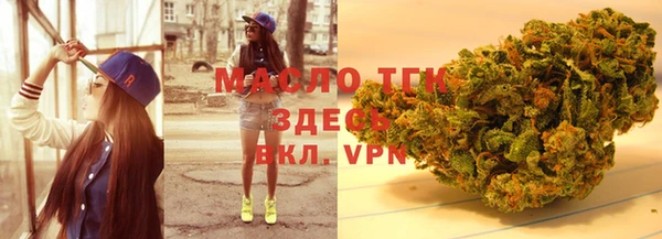 шишки Верея
