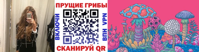 Галлюциногенные грибы Psilocybe  Купить  Опочка 