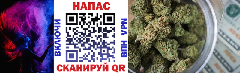 Купить где  Опочка  Каннабис семена 